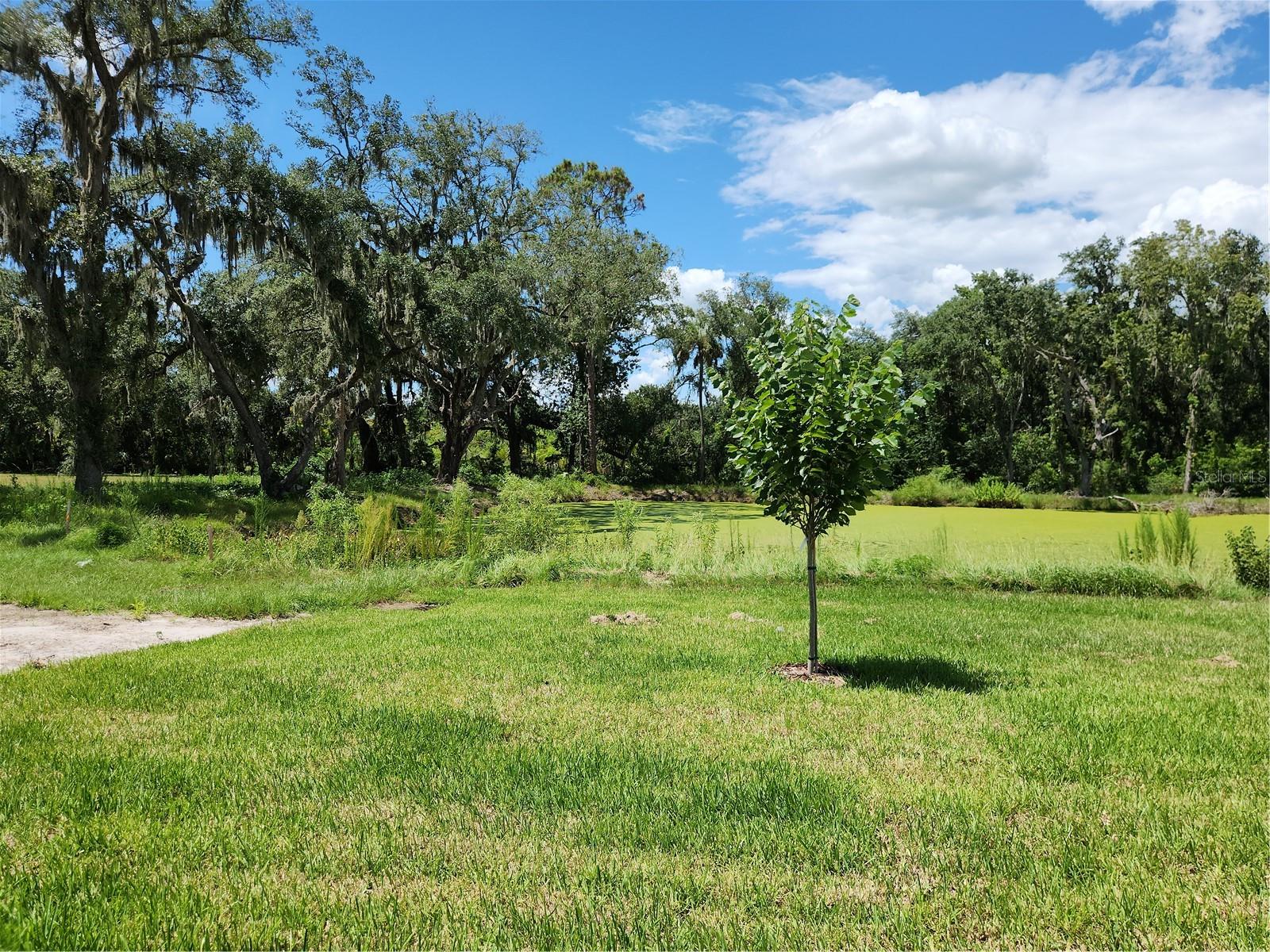 VIEW OF BACK YARD AND POND