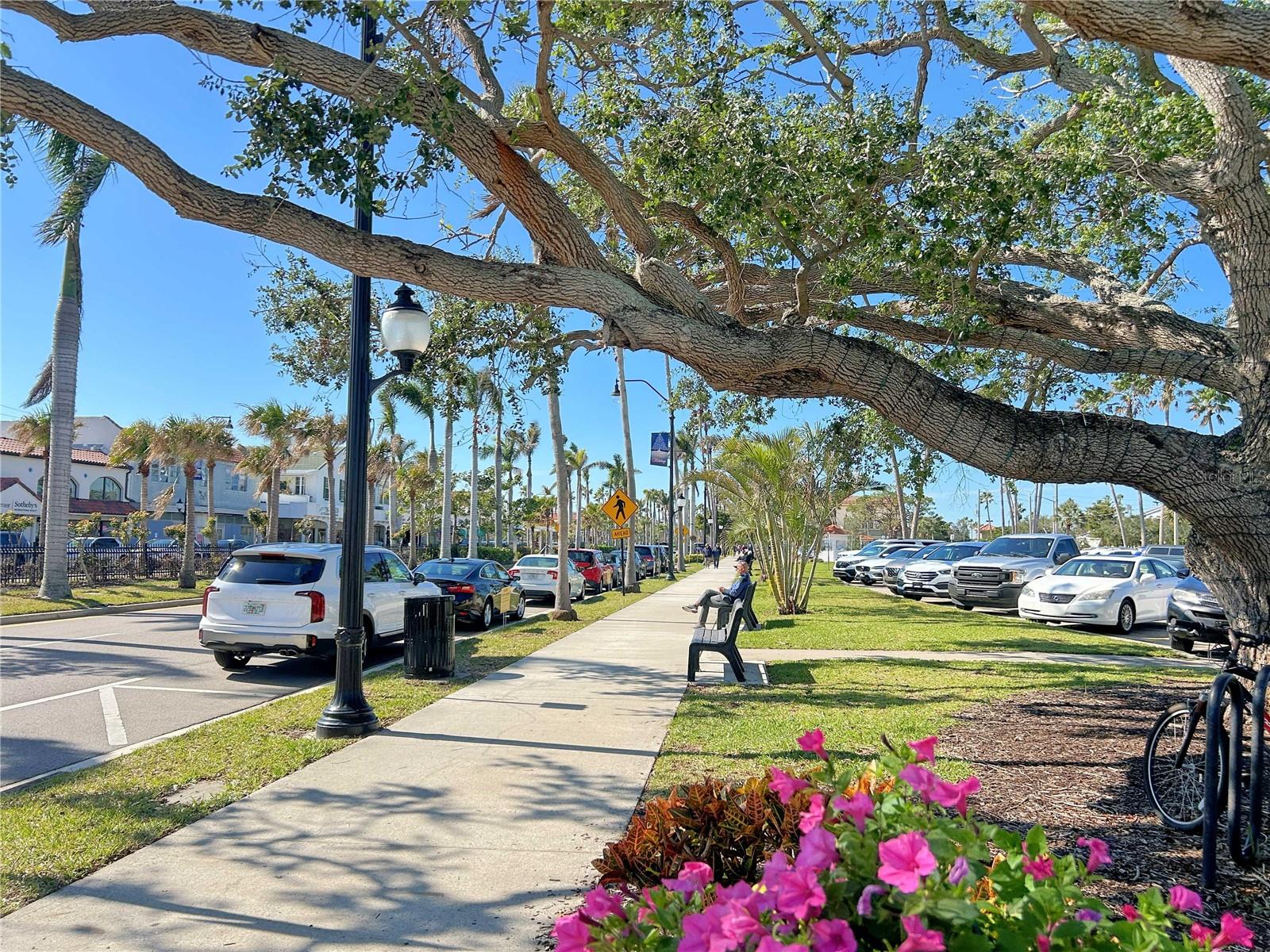 632 BALSAM APPLE DR, VENICE, FL, 34293