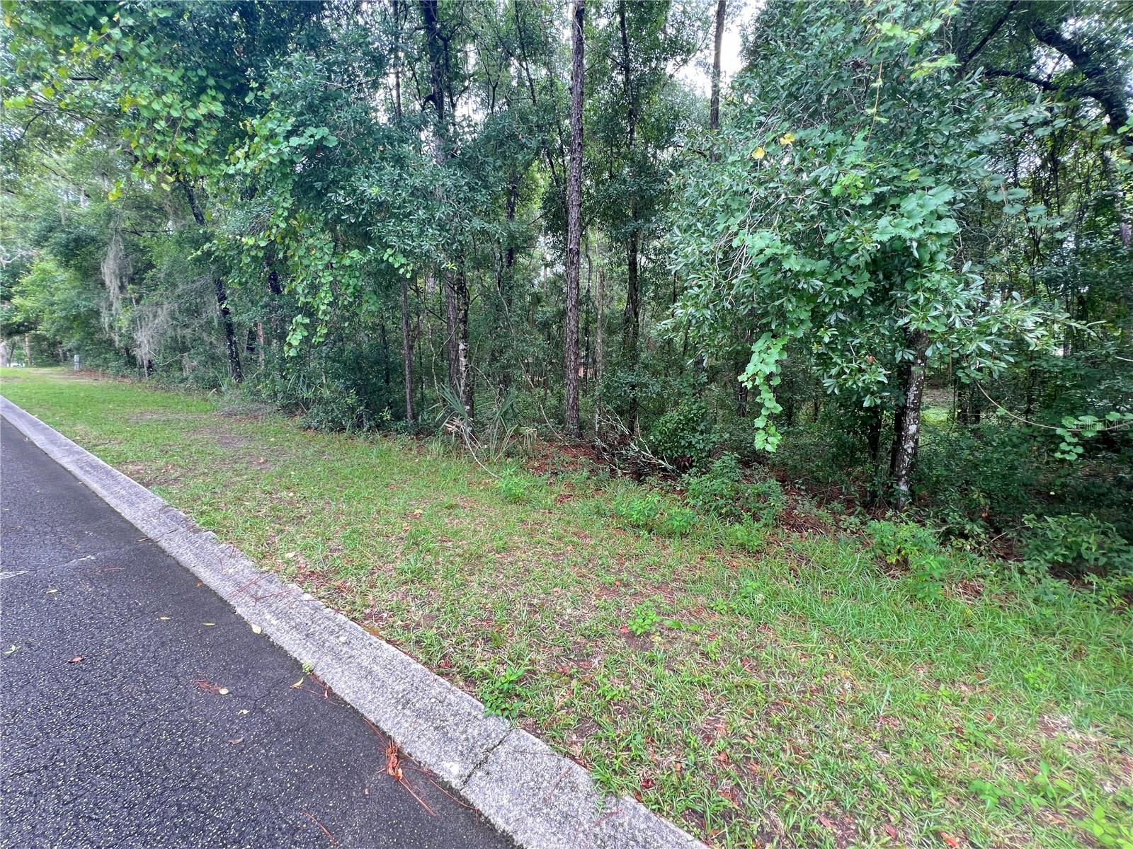 6358 W GOLDENLEAF LN, CRYSTAL RIVER, FL, 34429