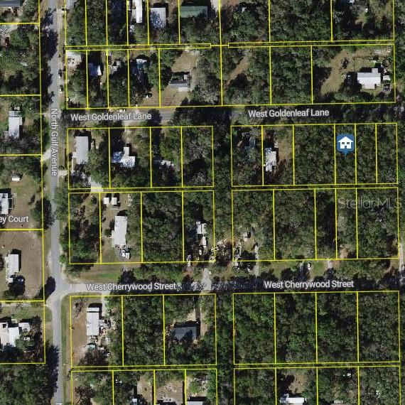 6358 W GOLDENLEAF LN, CRYSTAL RIVER, FL, 34429