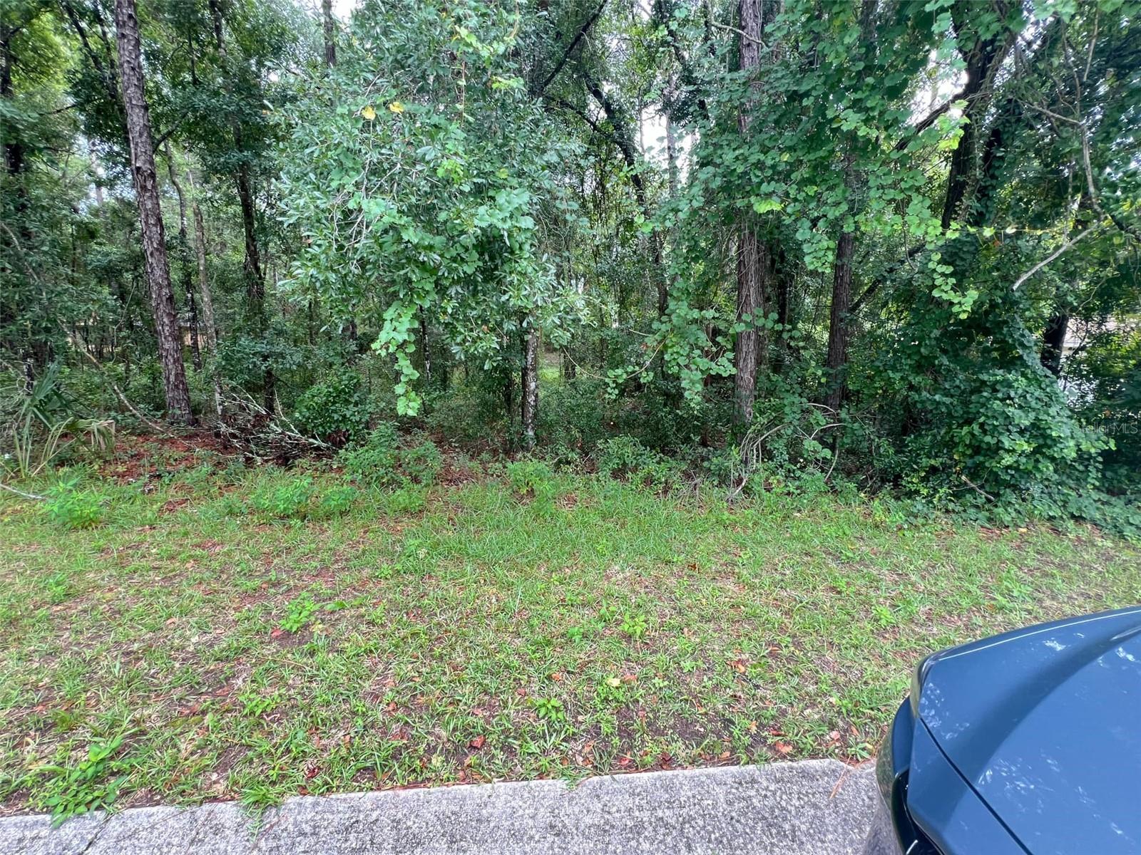 6358 W GOLDENLEAF LN, CRYSTAL RIVER, FL, 34429