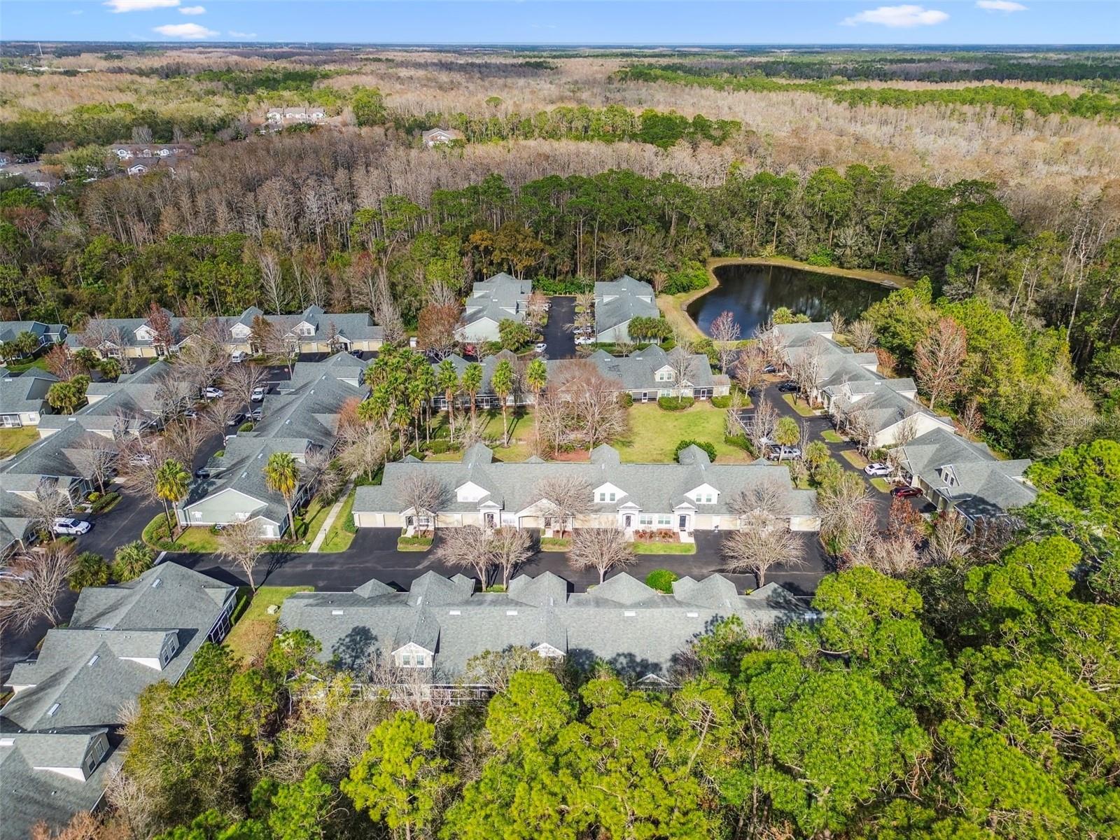 3607 TRAFALGAR WAY #103, PALM HARBOR, FL, 34685