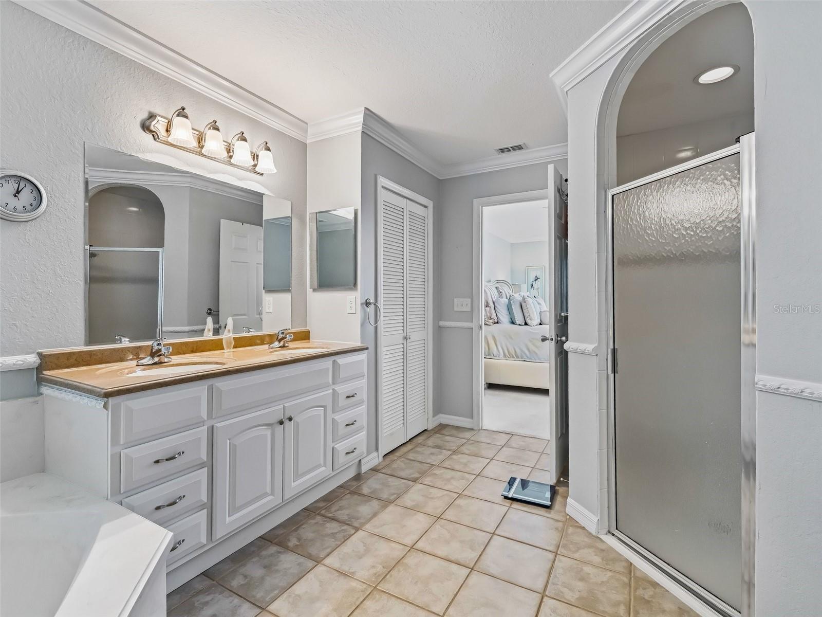 12413 SE 176TH LOOP, SUMMERFIELD, FL, 34491