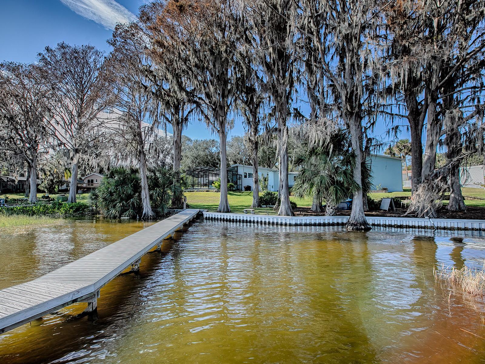 908 N LAKESHORE BLVD, HOWEY IN THE HILLS, FL, 34737
