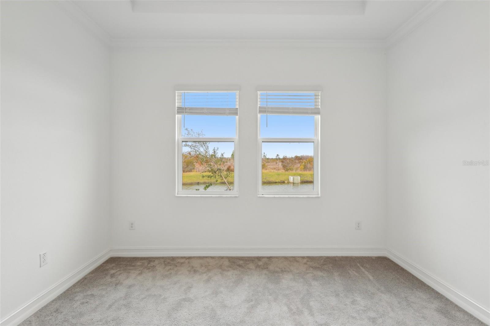 8796 LITTLE BLUESTEM DR, LAND O LAKES, FL, 34637
