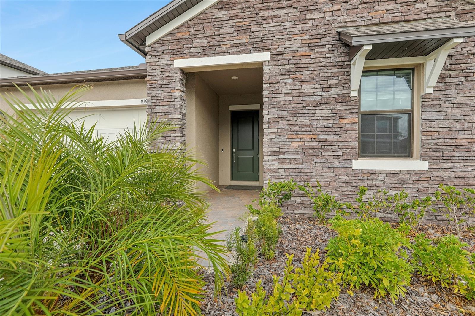 8796 LITTLE BLUESTEM DR, LAND O LAKES, FL, 34637