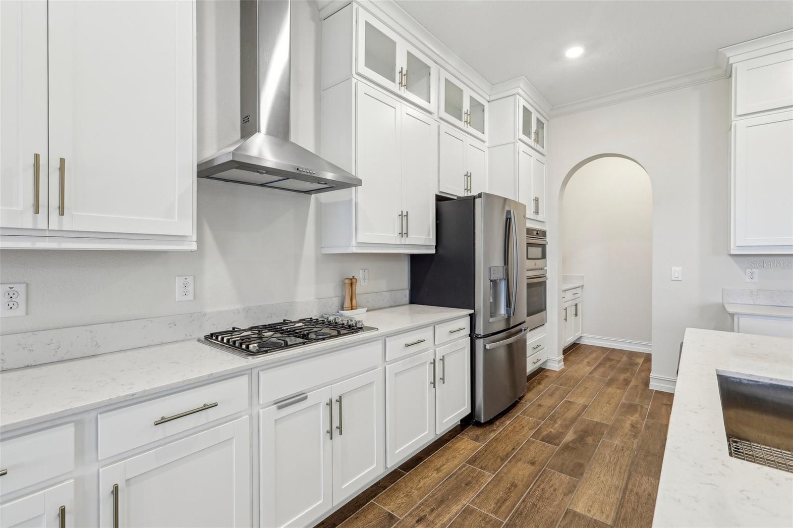 8796 LITTLE BLUESTEM DR, LAND O LAKES, FL, 34637