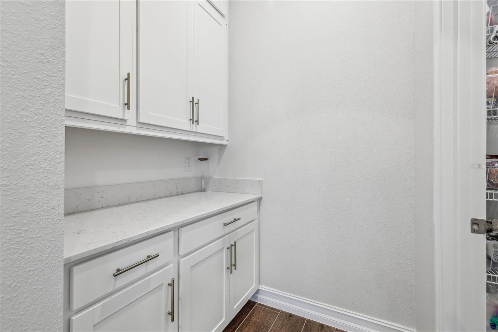 8796 LITTLE BLUESTEM DR, LAND O LAKES, FL, 34637