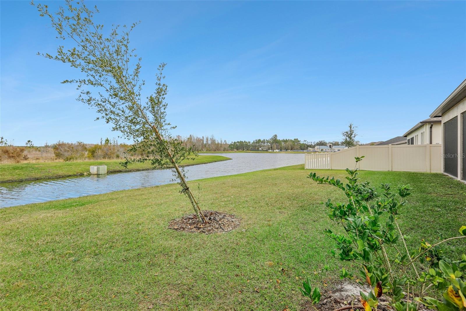 8796 LITTLE BLUESTEM DR, LAND O LAKES, FL, 34637