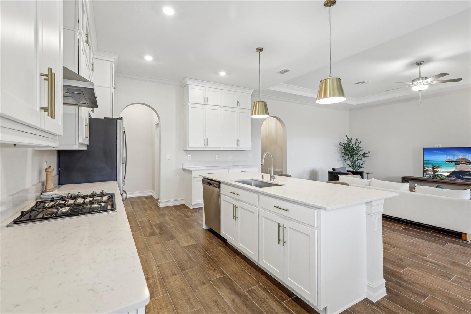 8796 LITTLE BLUESTEM DR, LAND O LAKES, FL, 34637