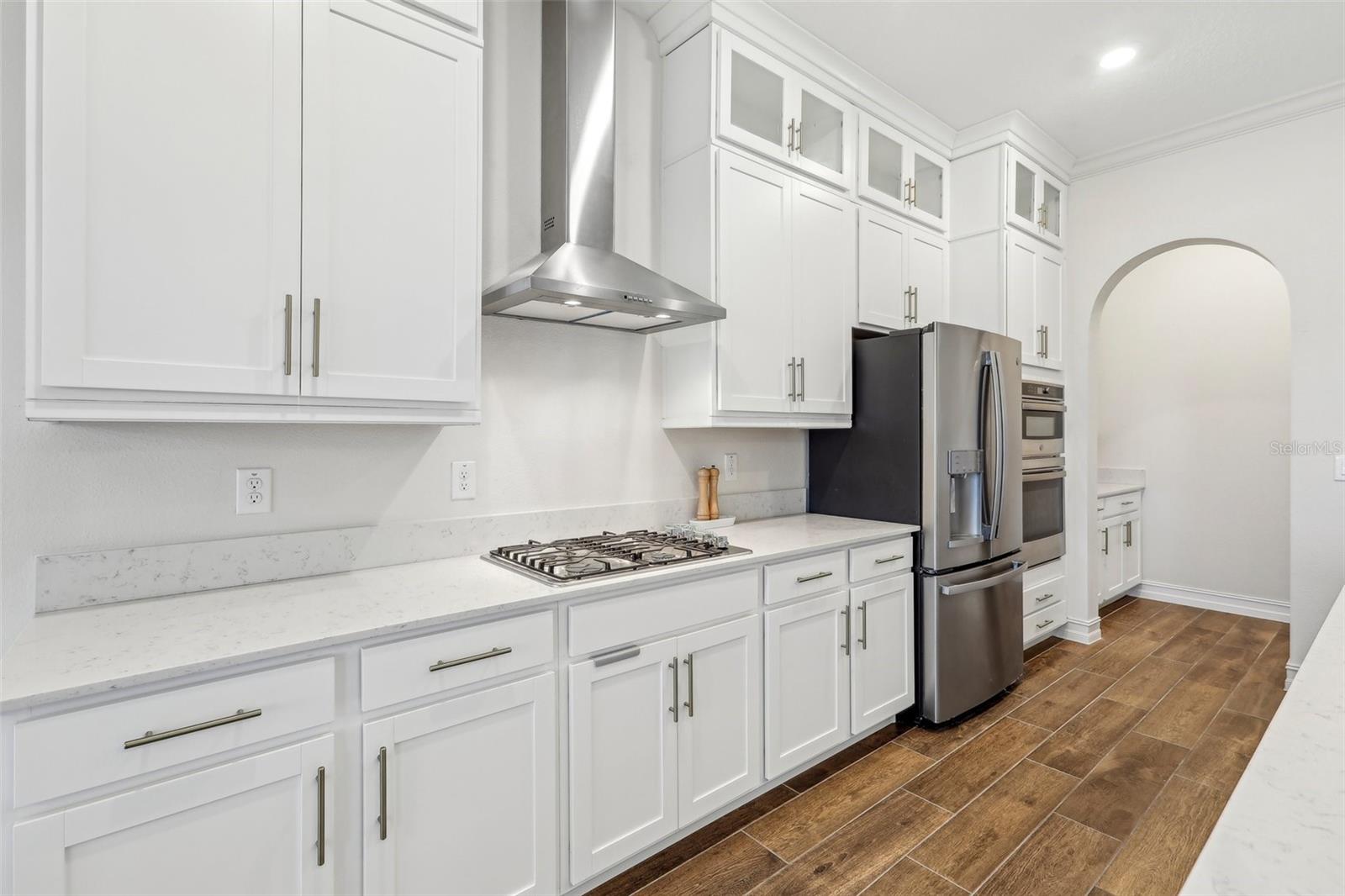 8796 LITTLE BLUESTEM DR, LAND O LAKES, FL, 34637