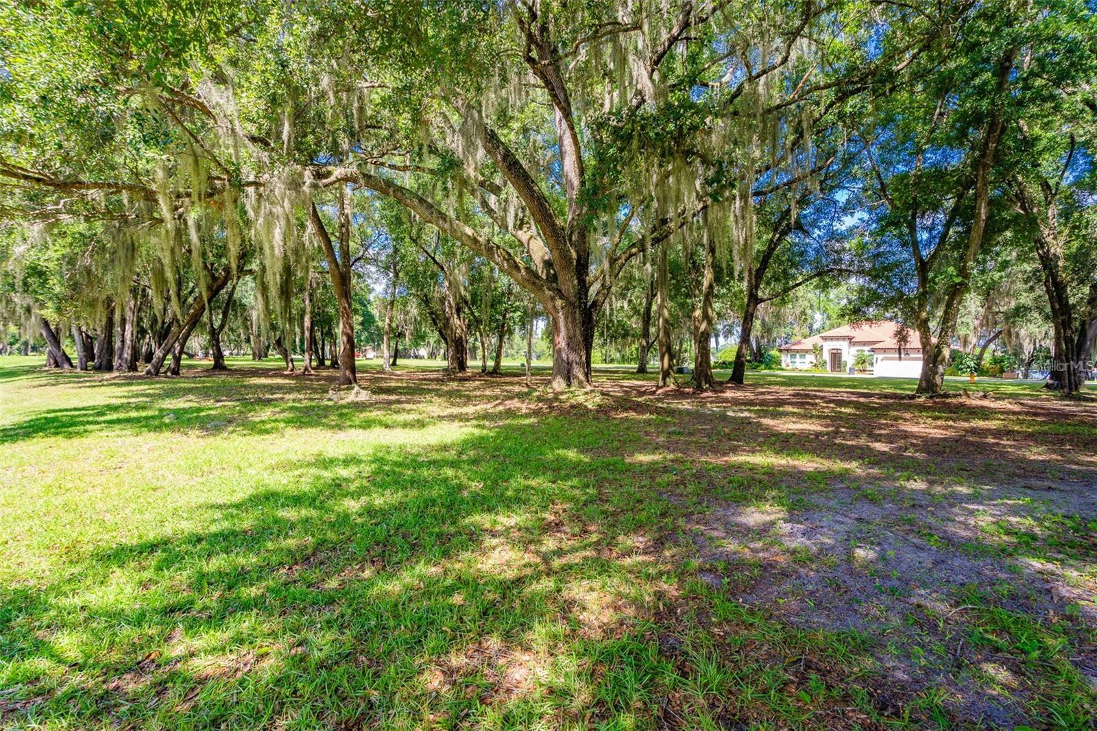 3605 AQUAMARINE DR, DELAND, FL, 32724