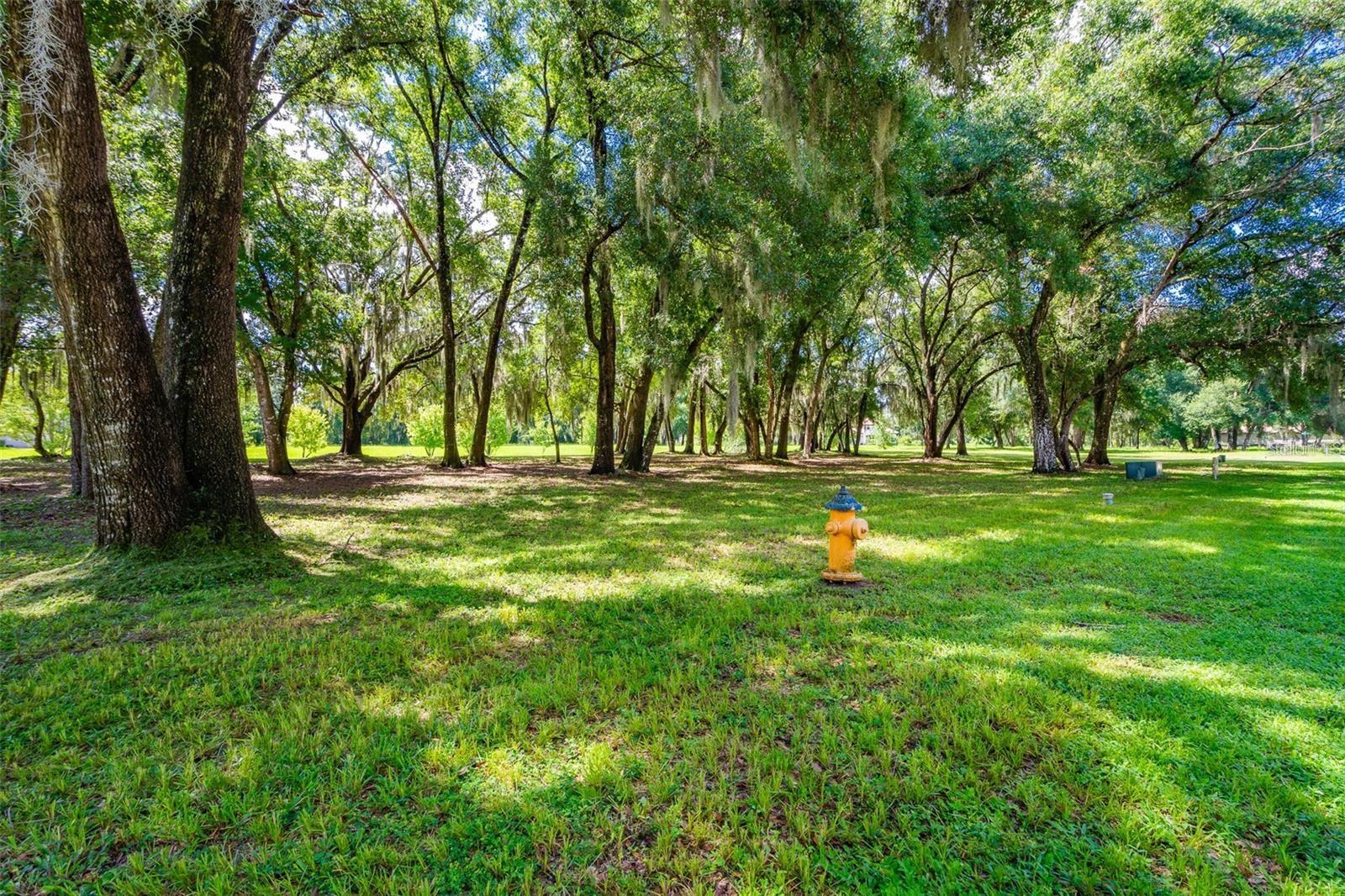 3605 AQUAMARINE DR, DELAND, FL, 32724