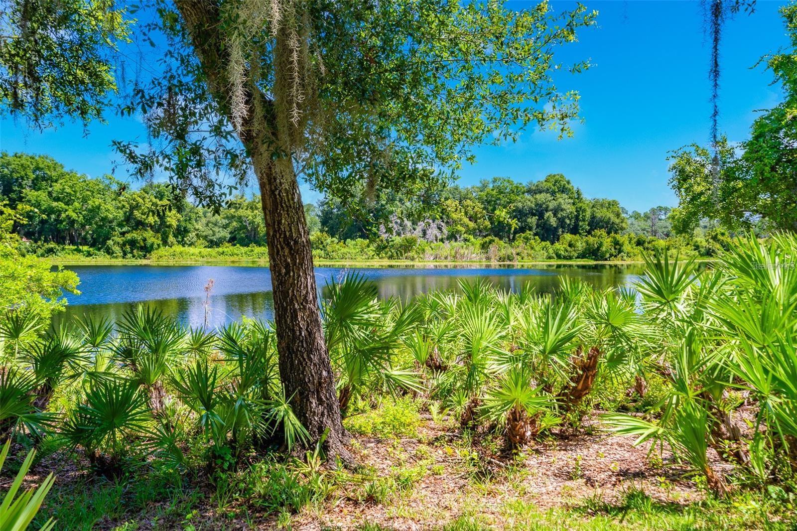 3605 AQUAMARINE DR, DELAND, FL, 32724