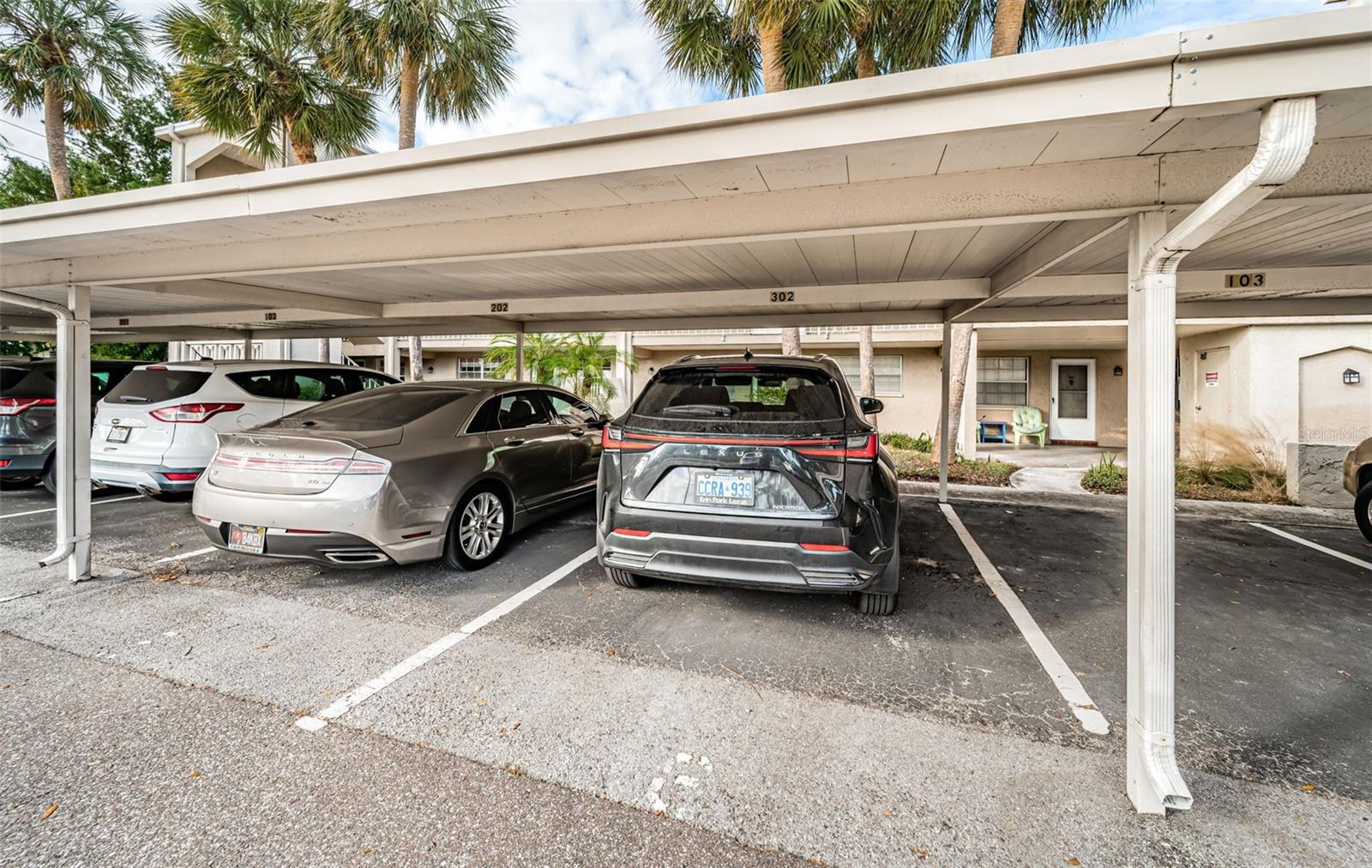 920 VIRGINIA ST #302, DUNEDIN, FL, 34698