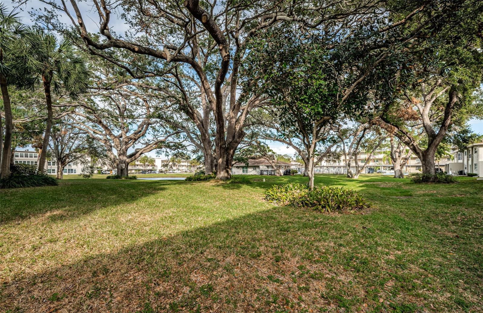 920 VIRGINIA ST #302, DUNEDIN, FL, 34698