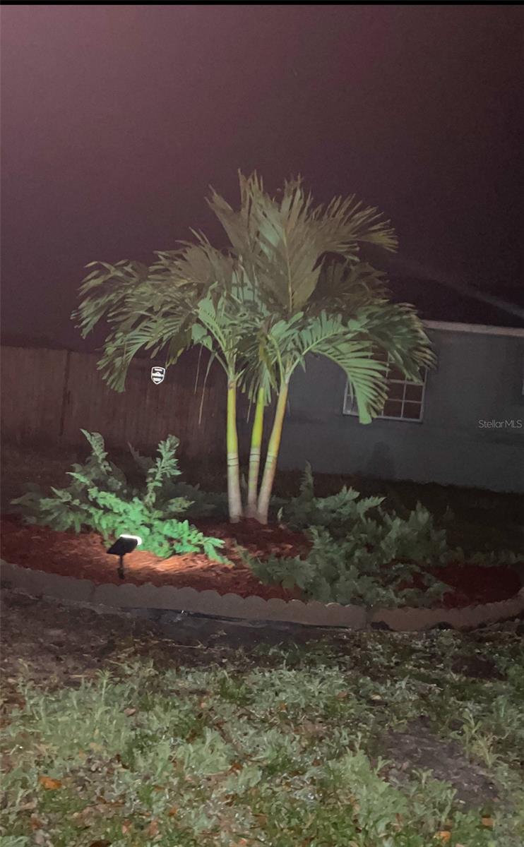 3662 MOHAWK DR, MOUNT DORA, FL, 32757