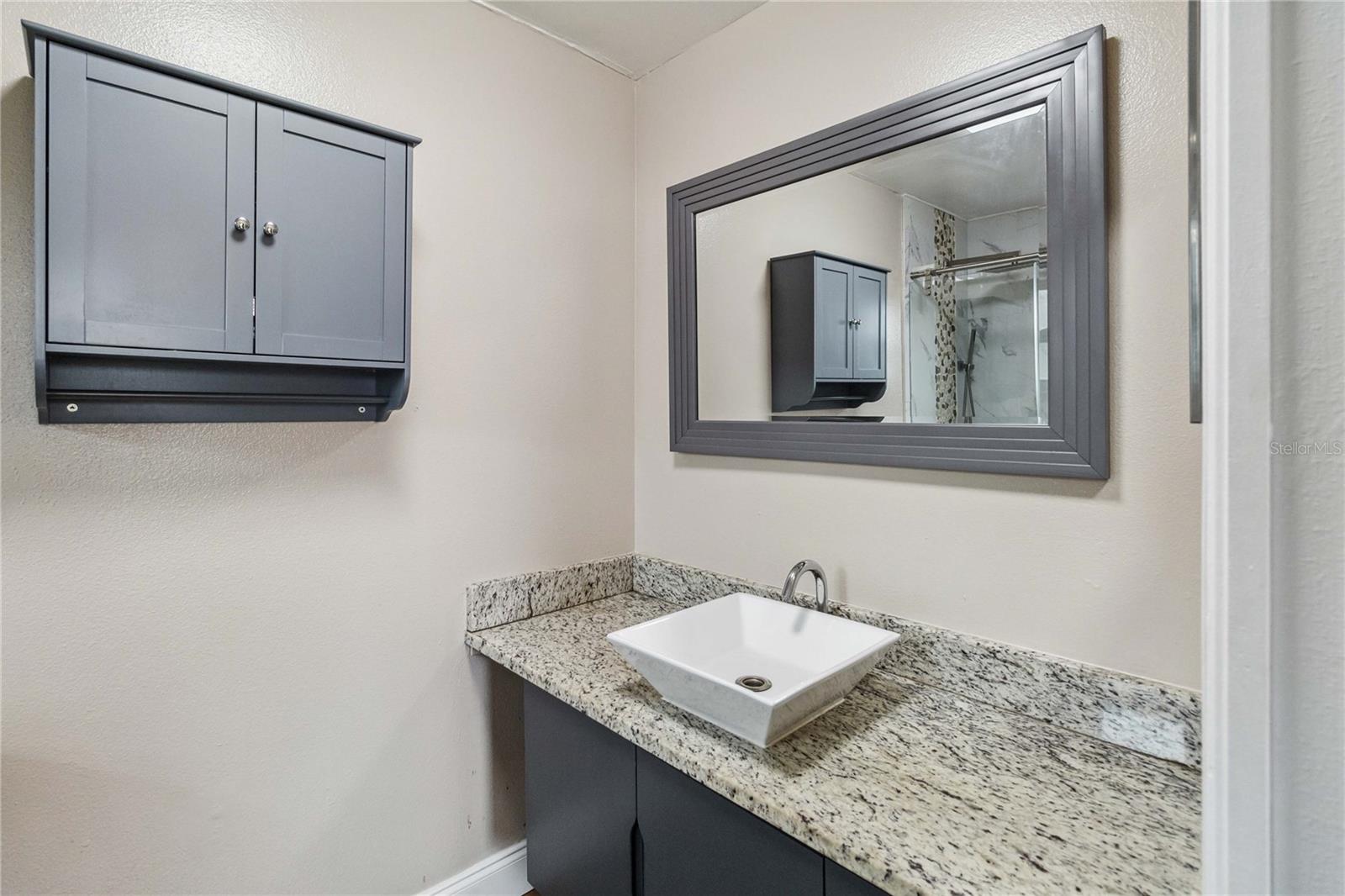 3662 MOHAWK DR, MOUNT DORA, FL, 32757