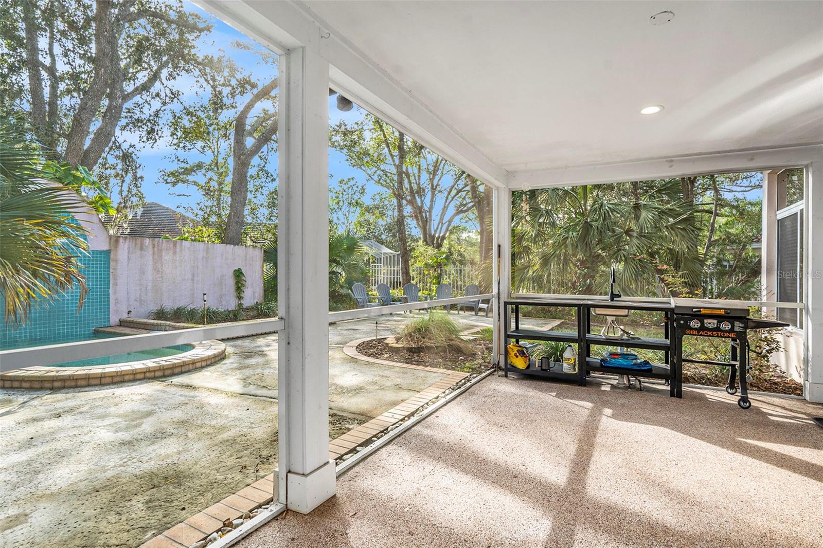 8703 CYPRESS MILL CT, TAMPA, FL, 33647