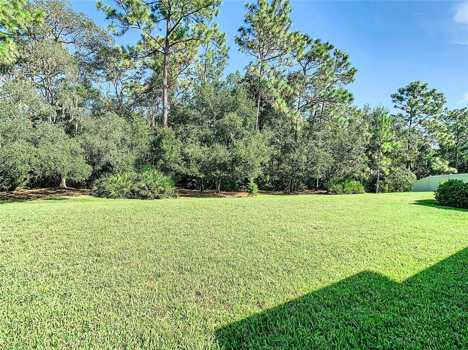 16635 MYRTLE SAND DR, WIMAUMA, FL, 33598