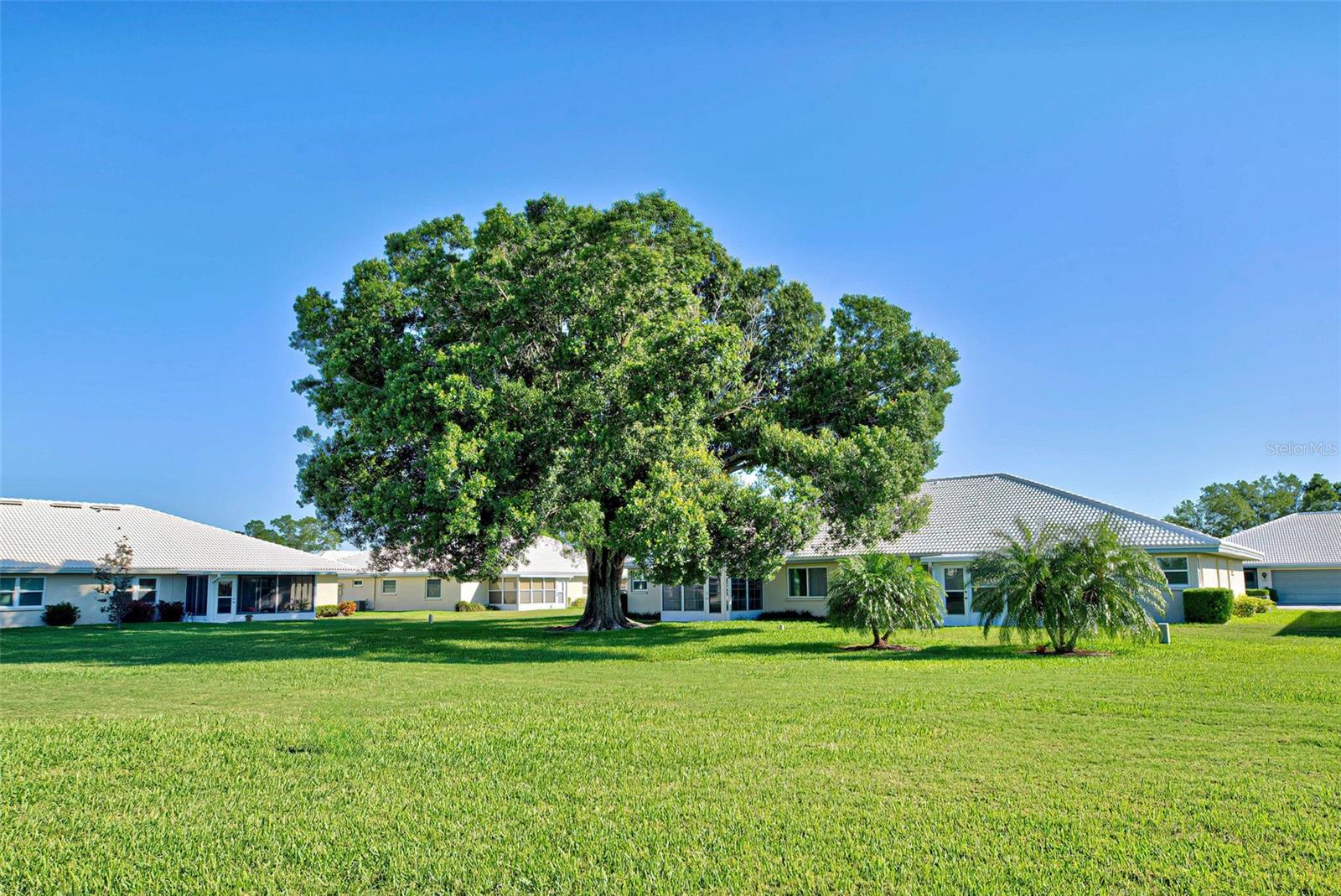 3117 HERON SHORES DR, VENICE, FL, 34293