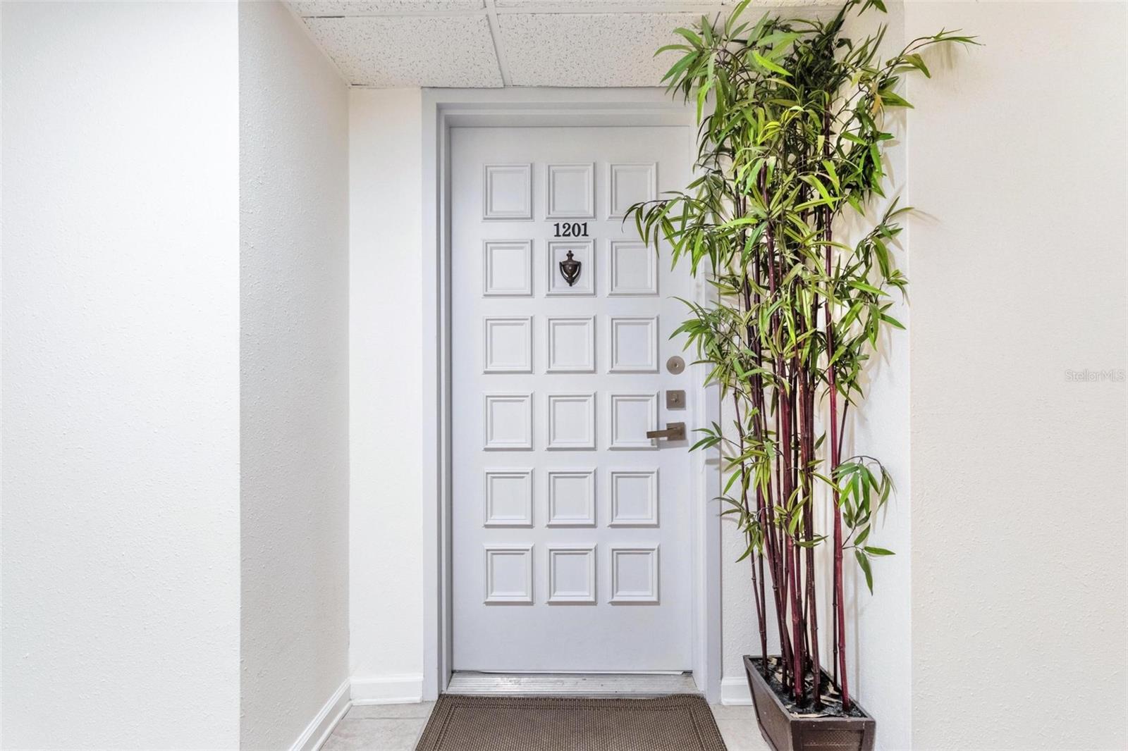 6265 SUN BLVD #1201, ST PETERSBURG, FL, 33715