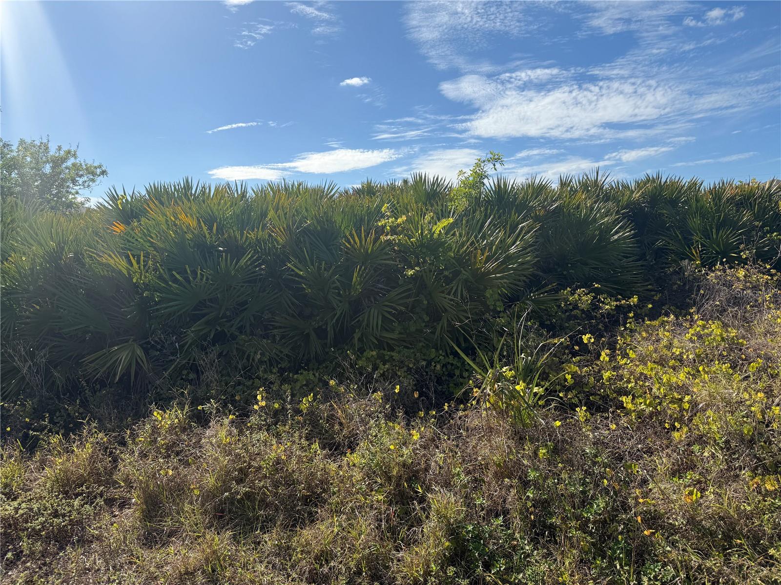 5015 CANNON ST, PORT CHARLOTTE, FL, 33981