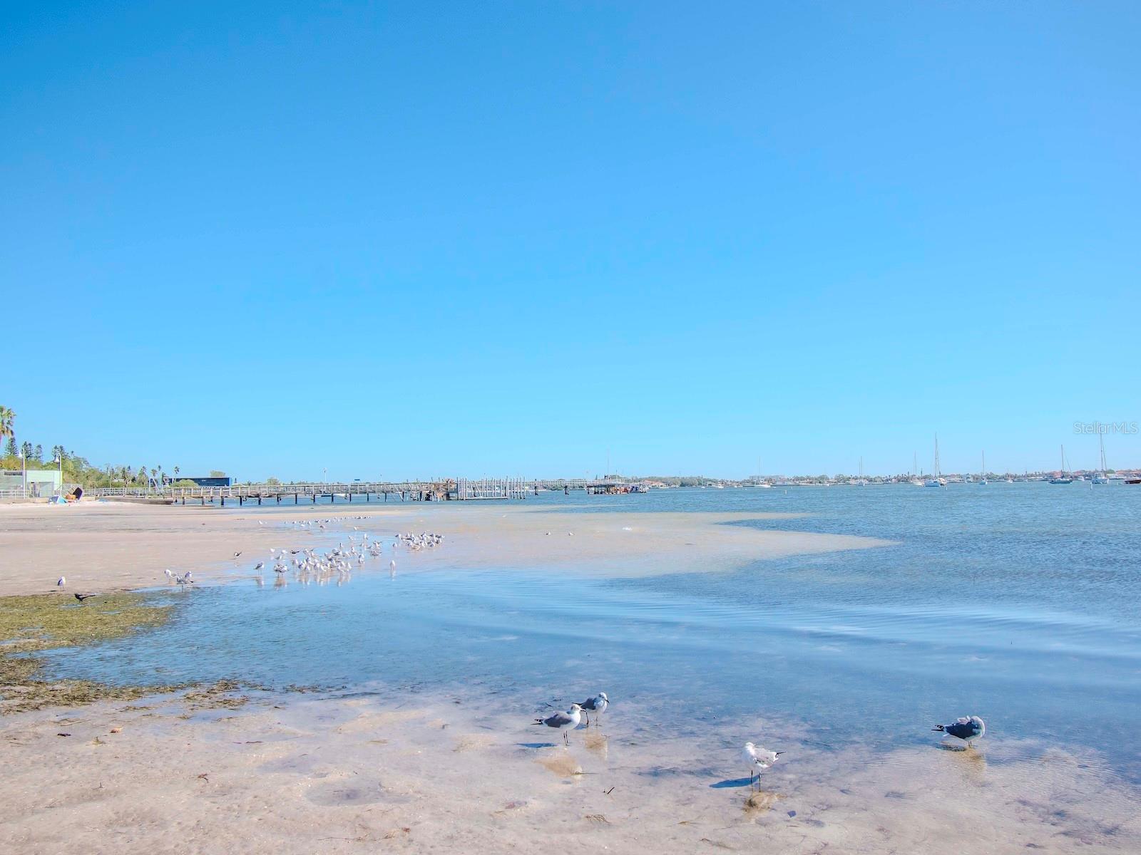5900 SHORE BLVD S #409, GULFPORT, FL, 33707