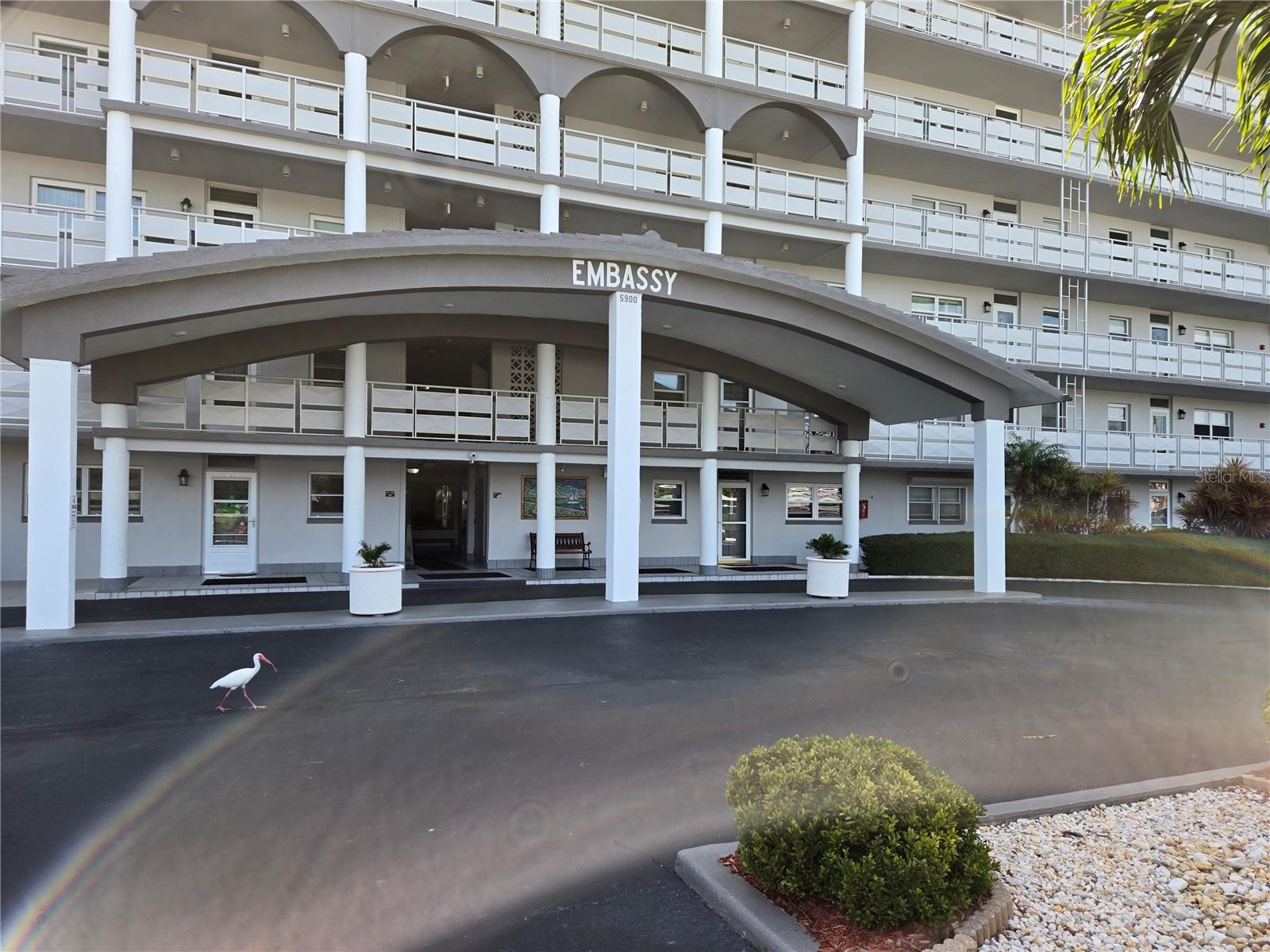 5900 SHORE BLVD S #409, GULFPORT, FL, 33707