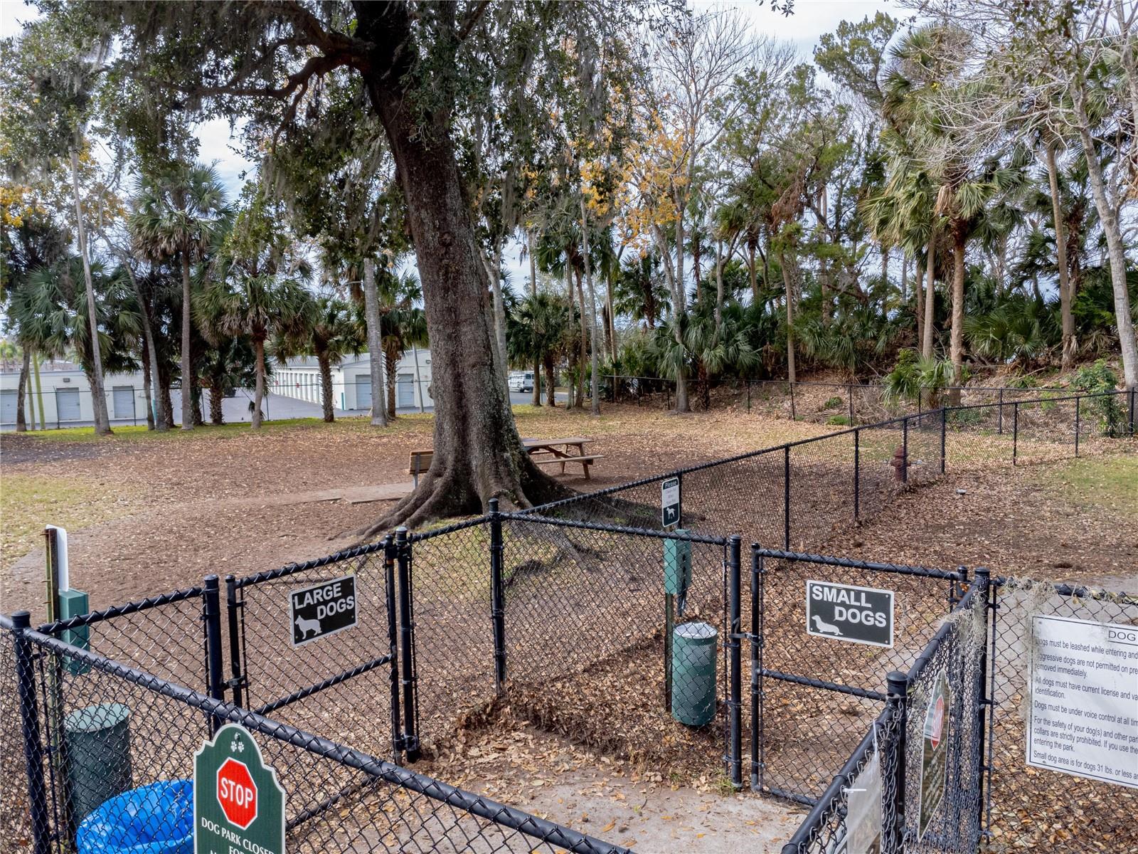 2845 OAK LEA DR, SOUTH DAYTONA, FL, 32119