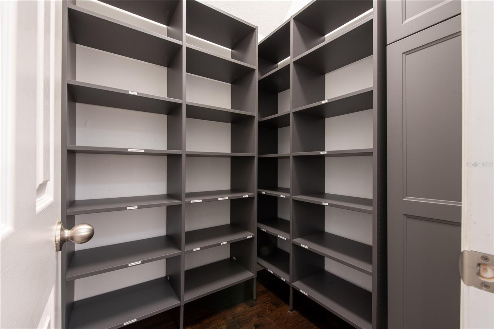 4306 OLD SYCAMORE LOOP, WINTER GARDEN, FL, 34787