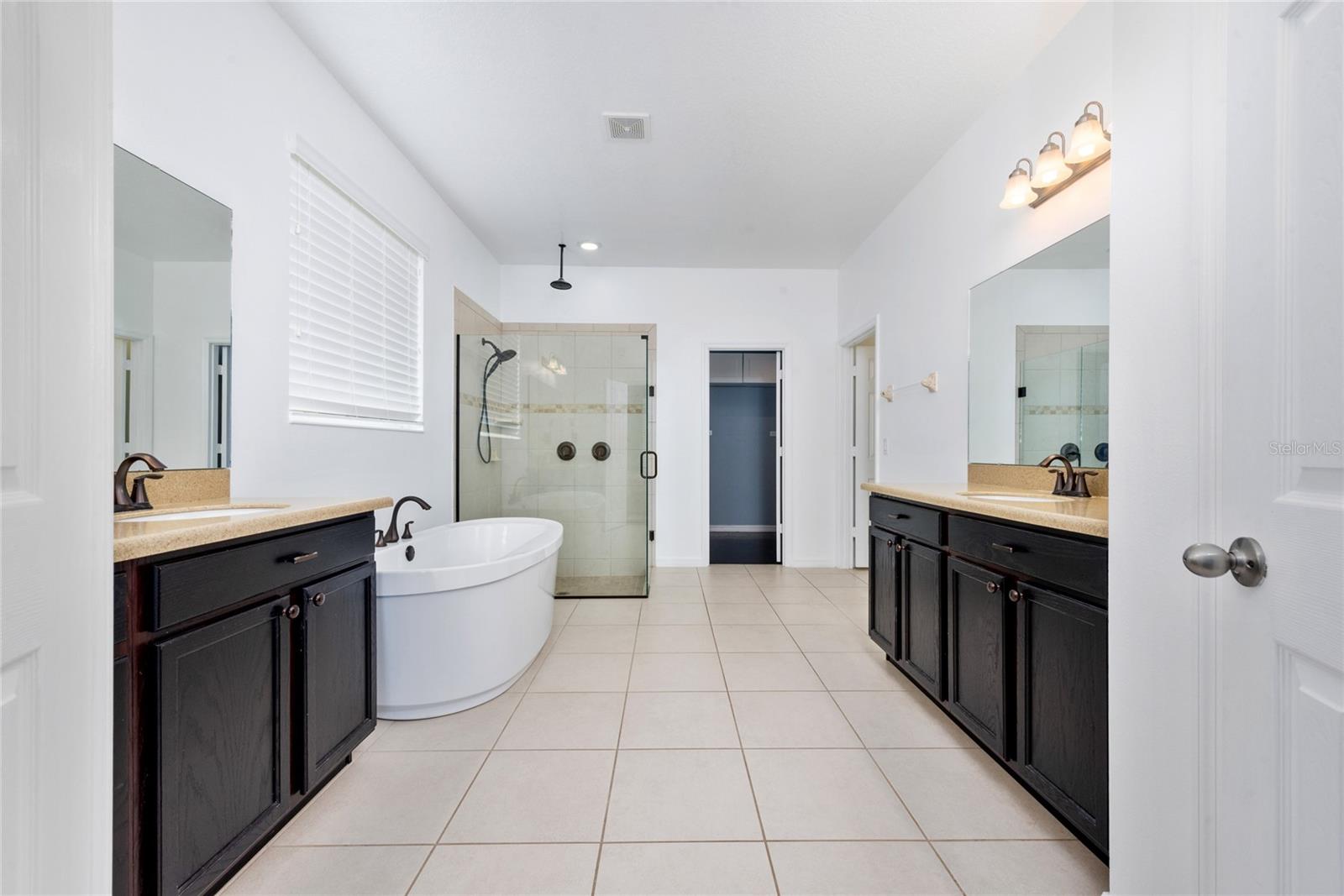 4306 OLD SYCAMORE LOOP, WINTER GARDEN, FL, 34787