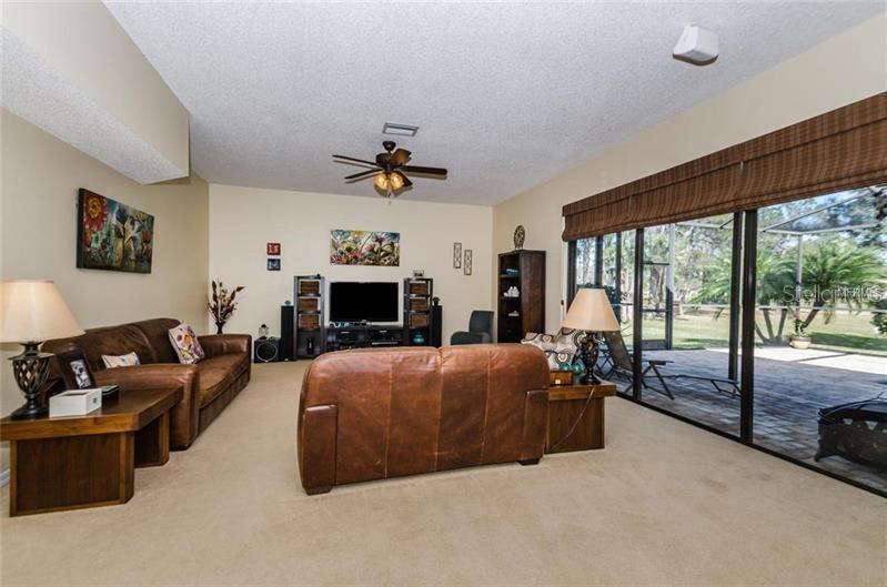 16105 TURNBURY OAK DR, ODESSA, FL, 33556