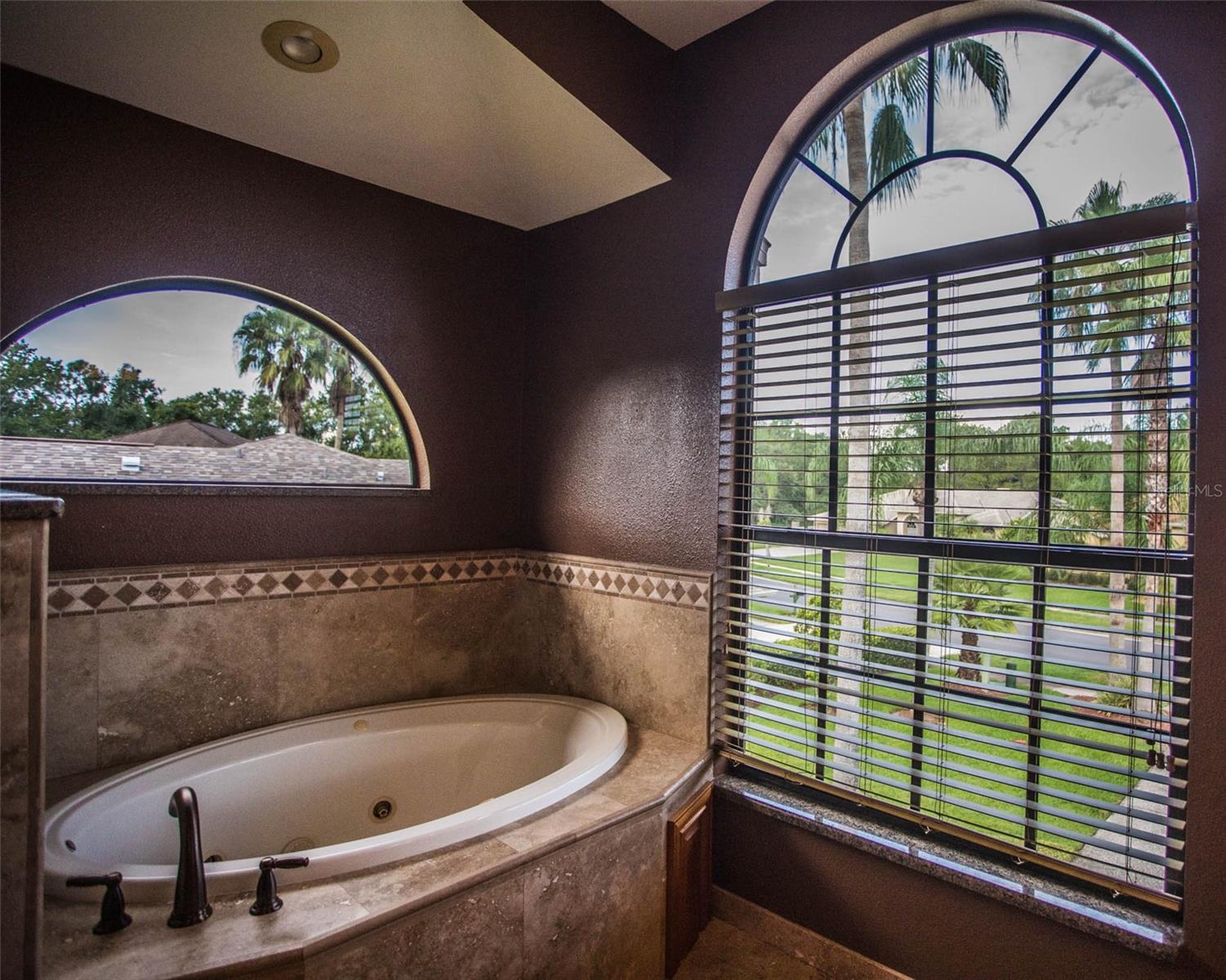 16105 TURNBURY OAK DR, ODESSA, FL, 33556