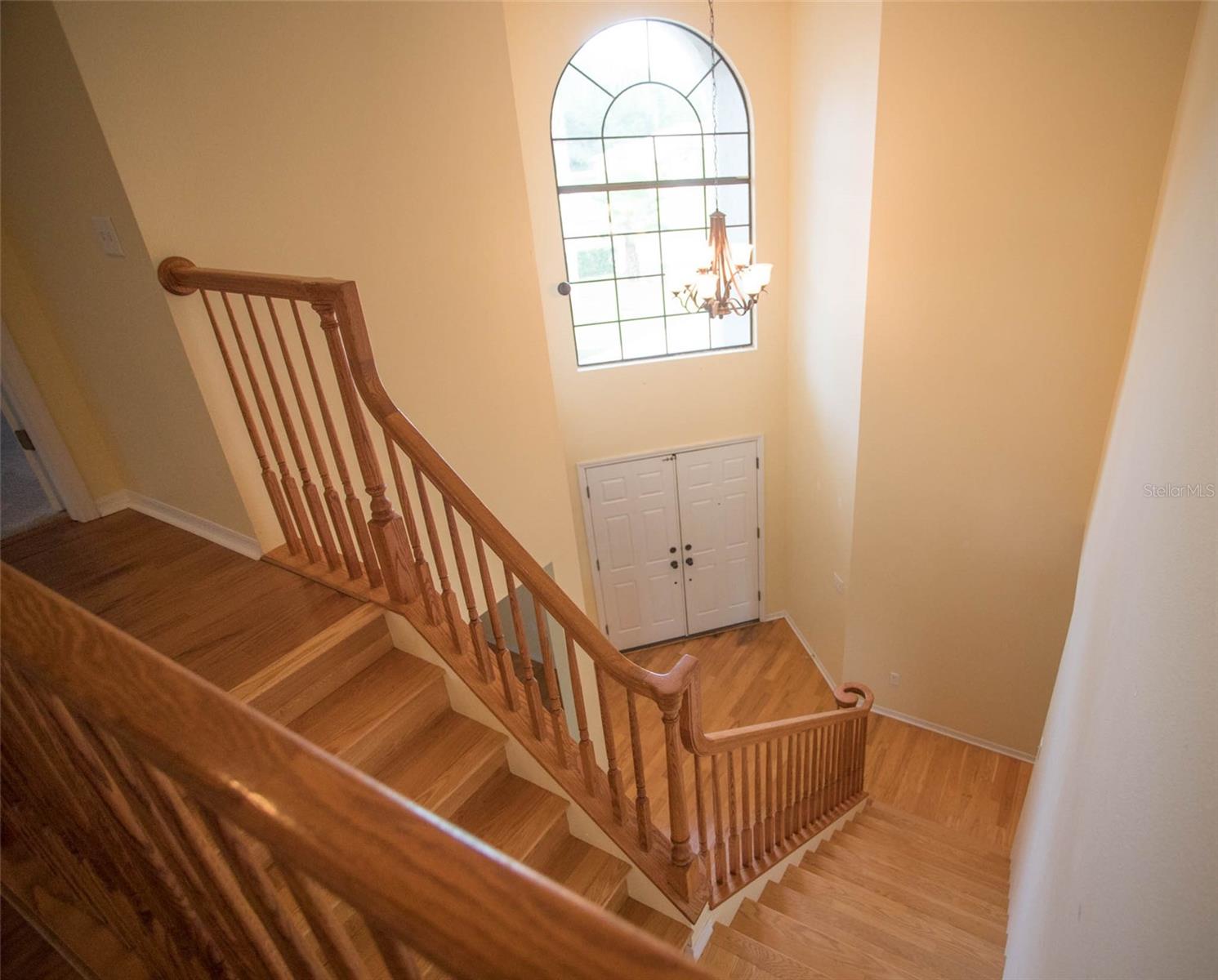 16105 TURNBURY OAK DR, ODESSA, FL, 33556