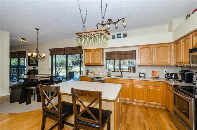 16105 TURNBURY OAK DR, ODESSA, FL, 33556