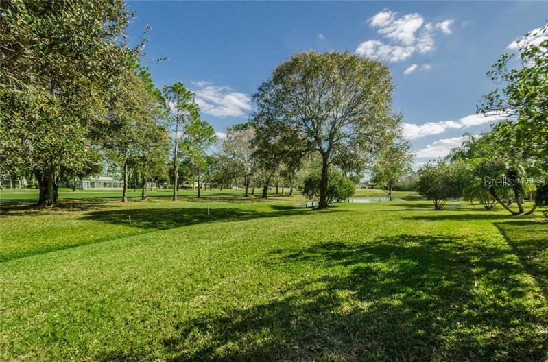 16105 TURNBURY OAK DR, ODESSA, FL, 33556