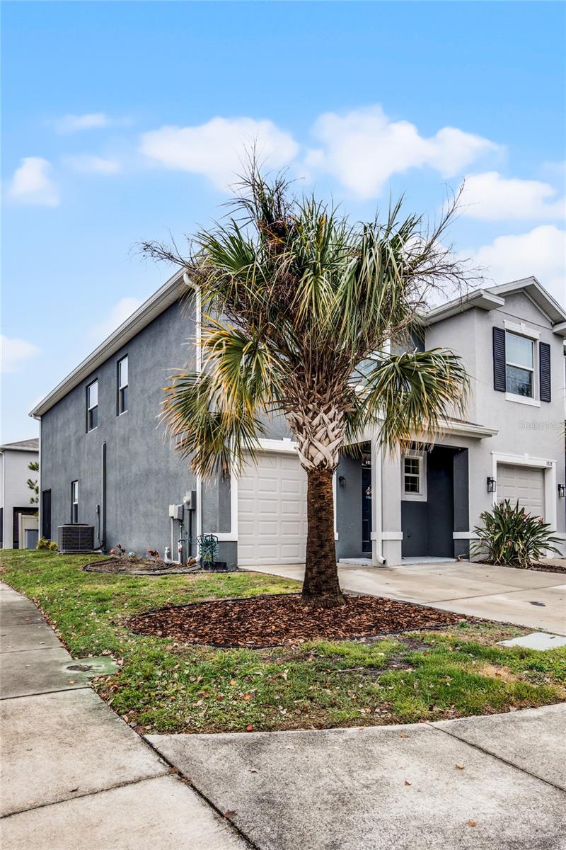 3830 VIGNOBLE LN, BRANDON, FL, 33511
