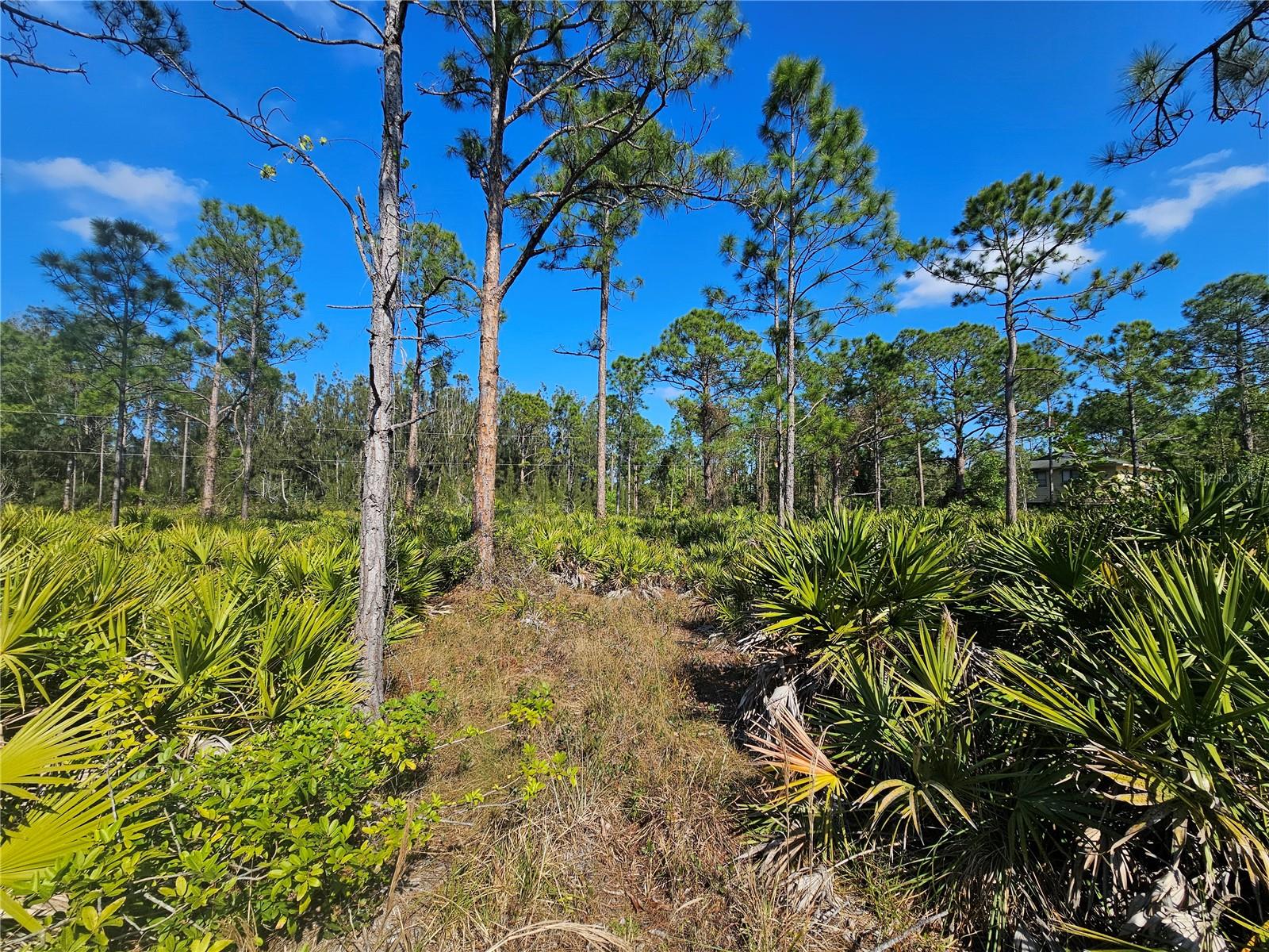 27342 BALBOA DR, PUNTA GORDA, FL, 33955