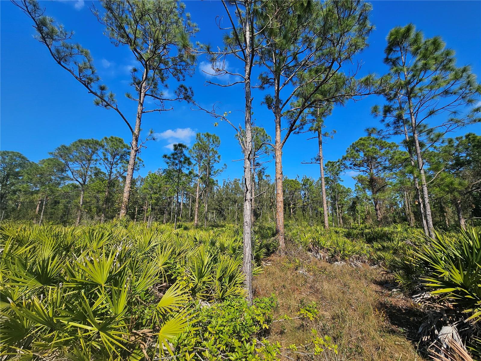 27342 BALBOA DR, PUNTA GORDA, FL, 33955