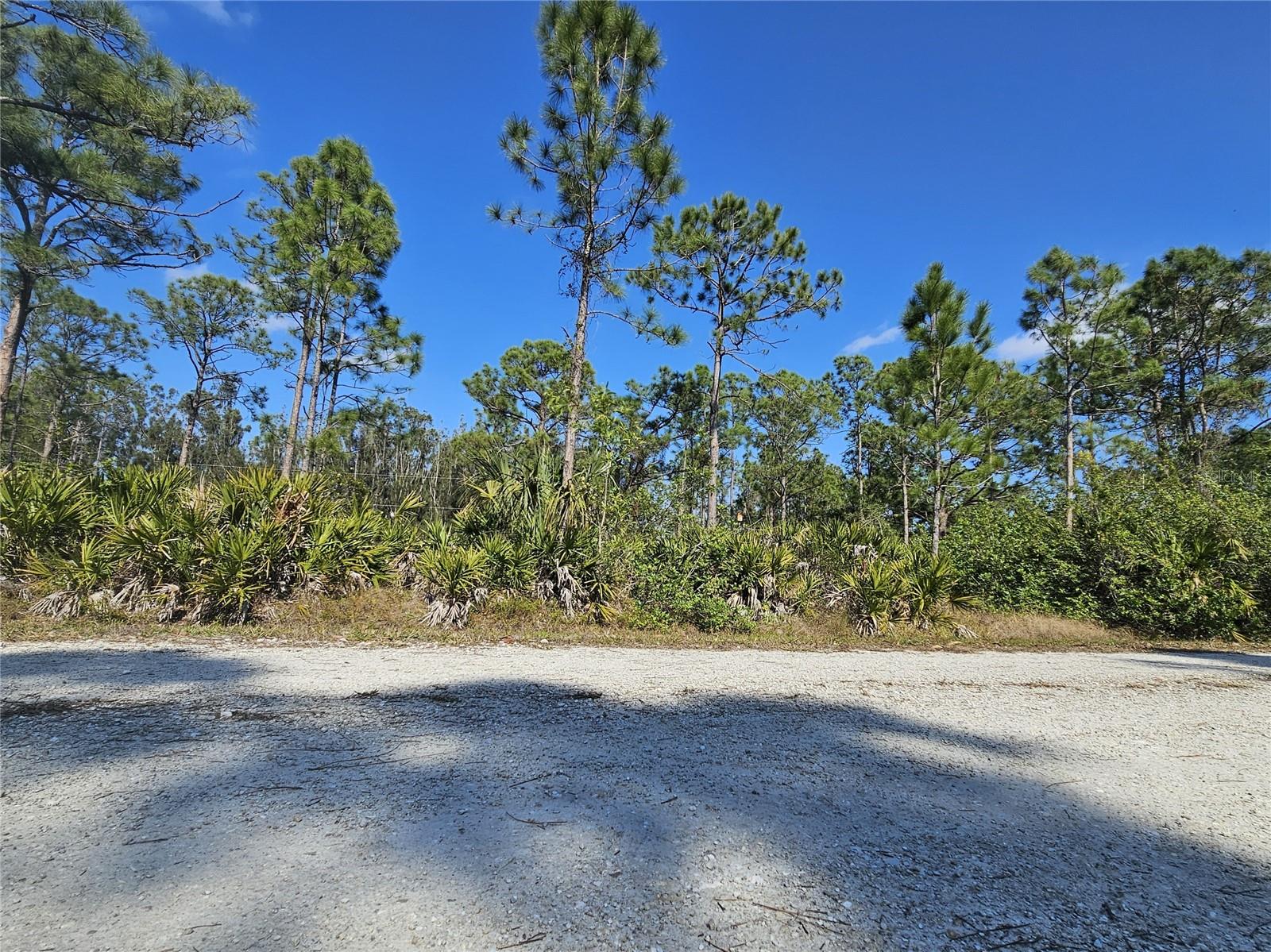 27342 BALBOA DR, PUNTA GORDA, FL, 33955