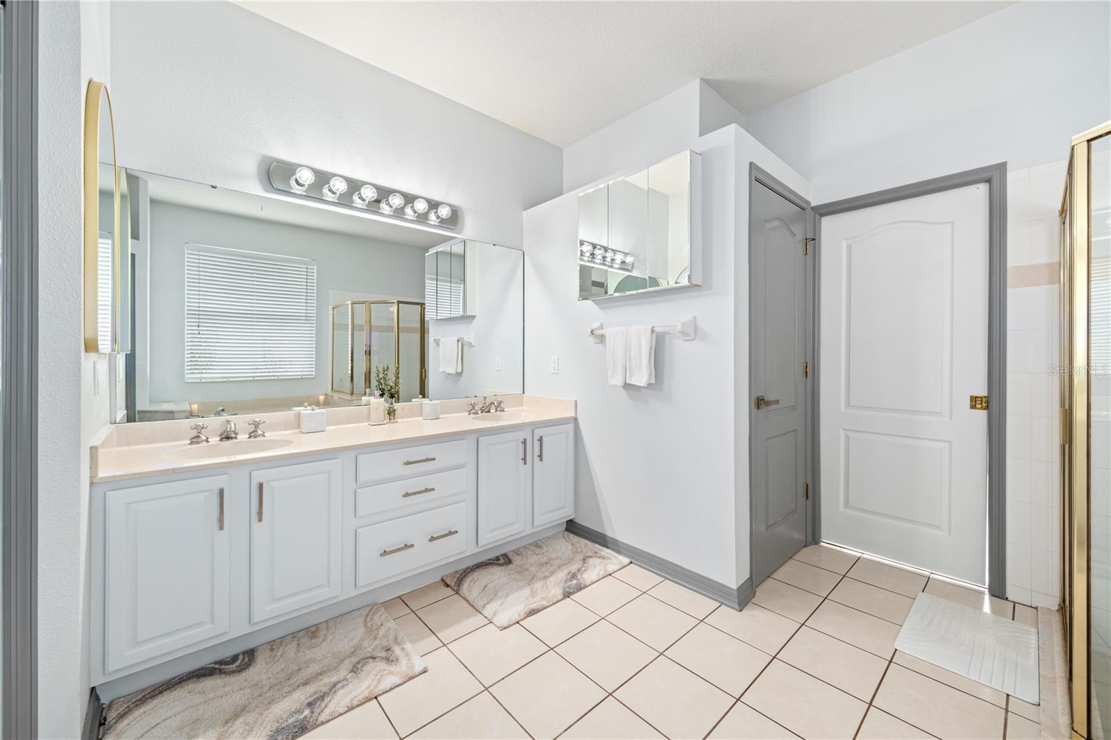 3788 BRANTLEY PLACE CIR, APOPKA, FL, 32703