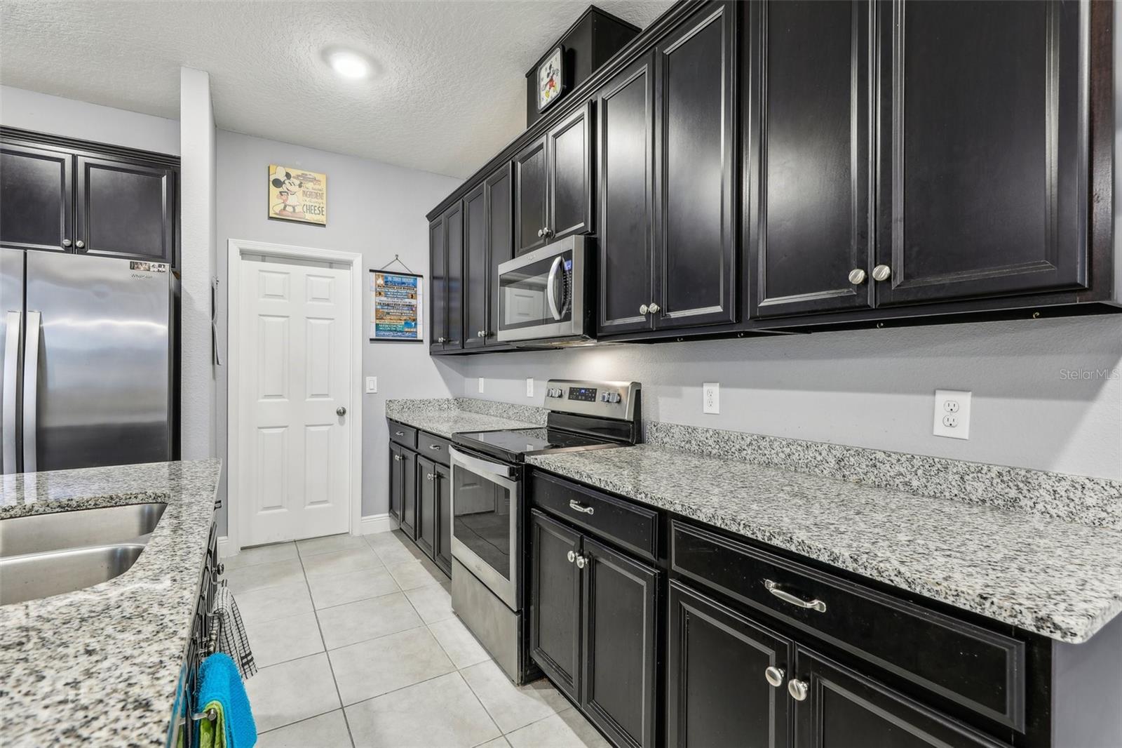 9737 AMBER CHESTNUT WAY, WINTER GARDEN, FL, 34787