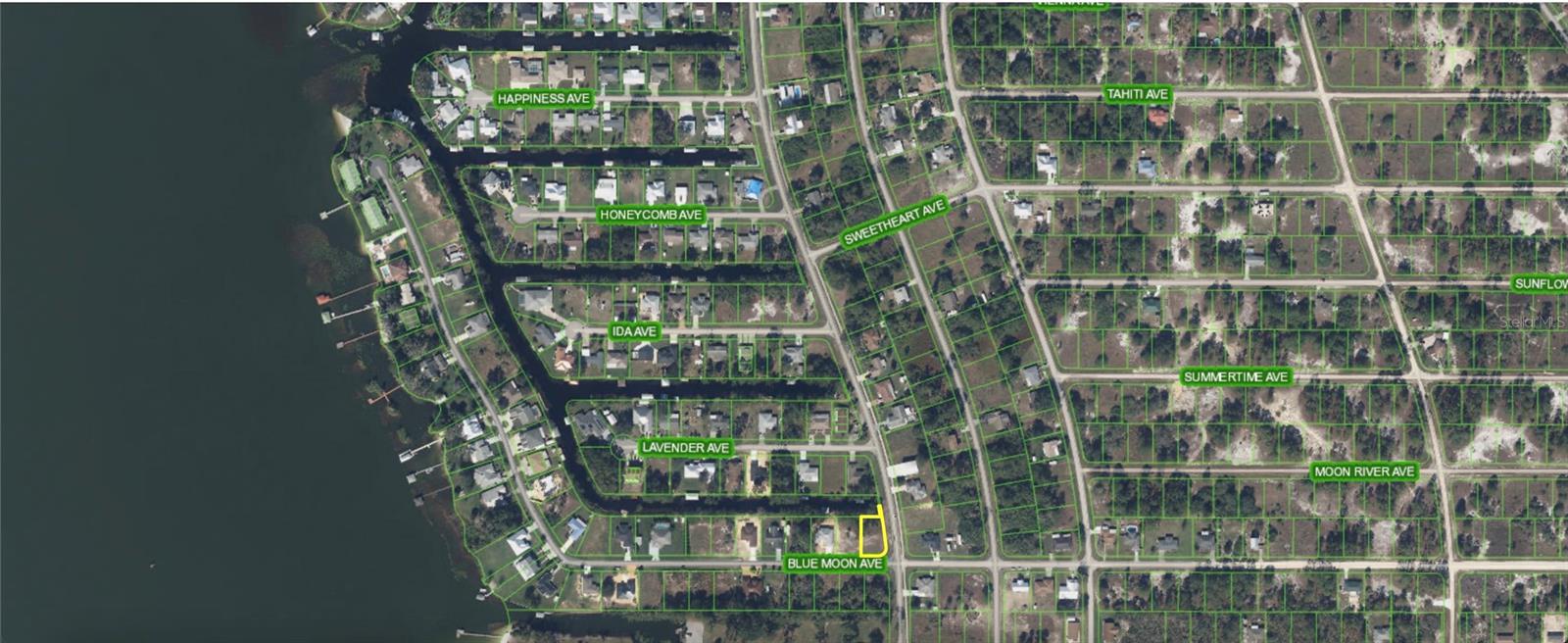 101 BLUE MOON AVE, LAKE PLACID, FL, 33852