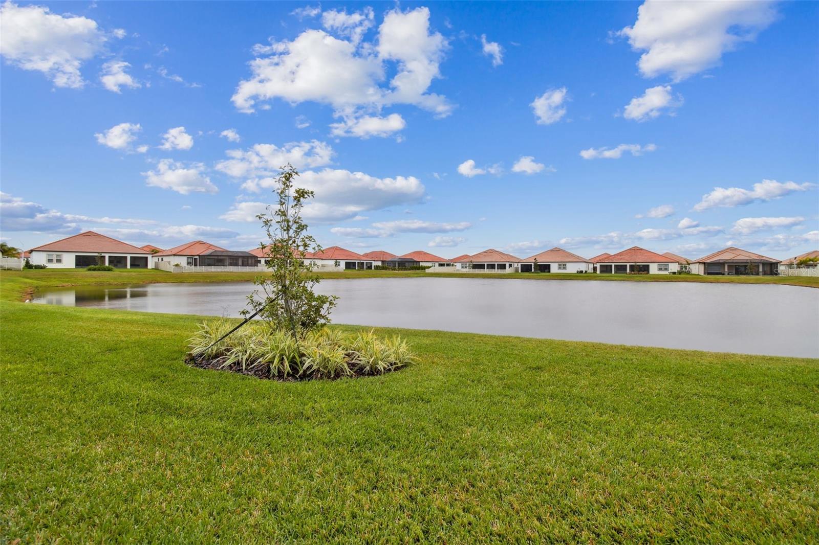 5322 WINDY GROVE DR, WIMAUMA, FL, 33598