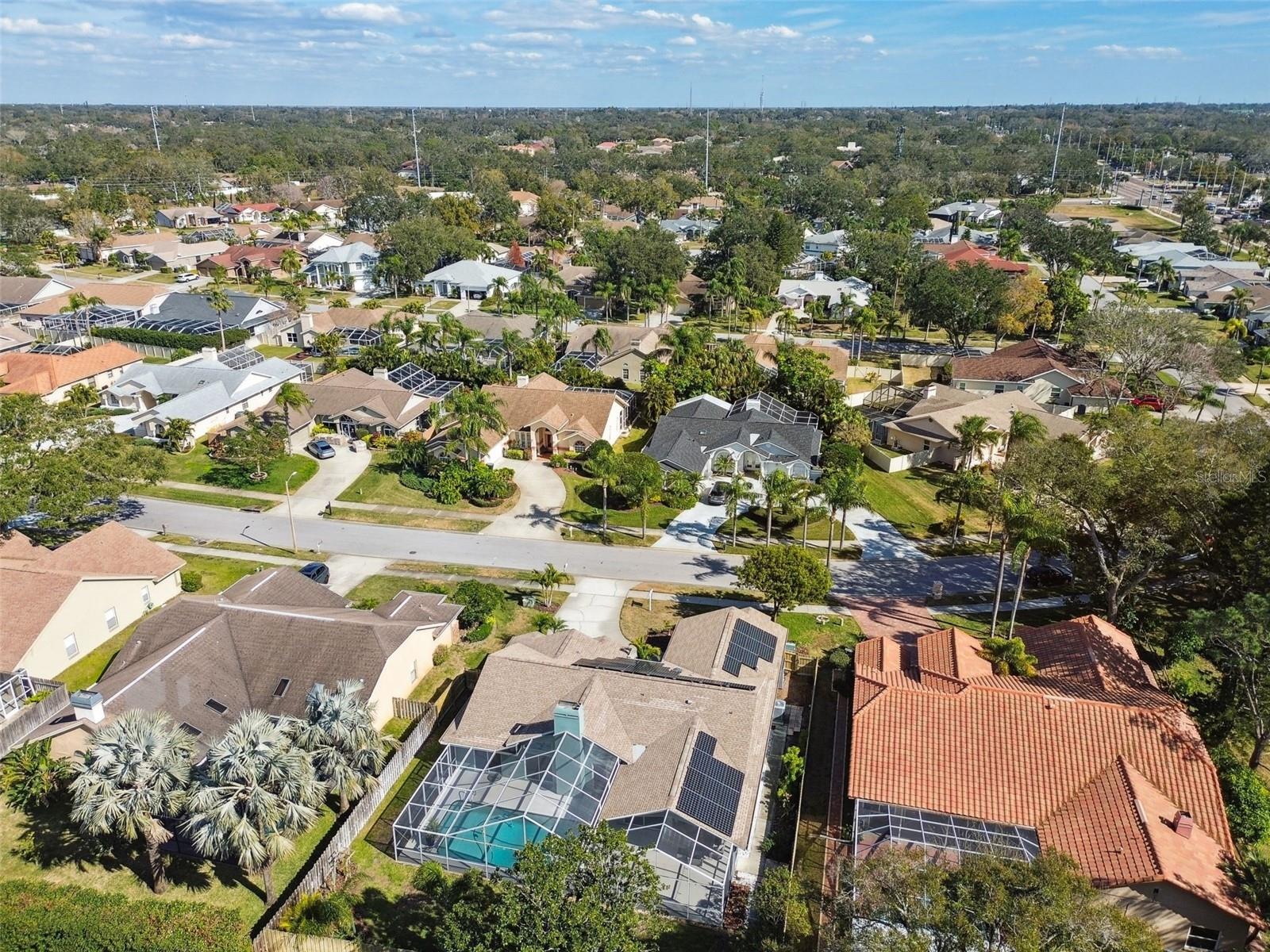 2668 JARVIS CIR, PALM HARBOR, FL, 34683