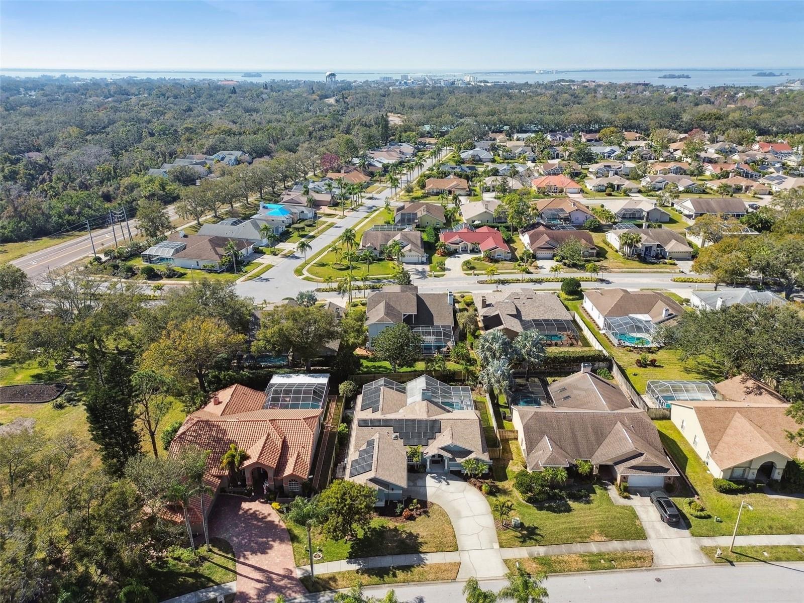 2668 JARVIS CIR, PALM HARBOR, FL, 34683