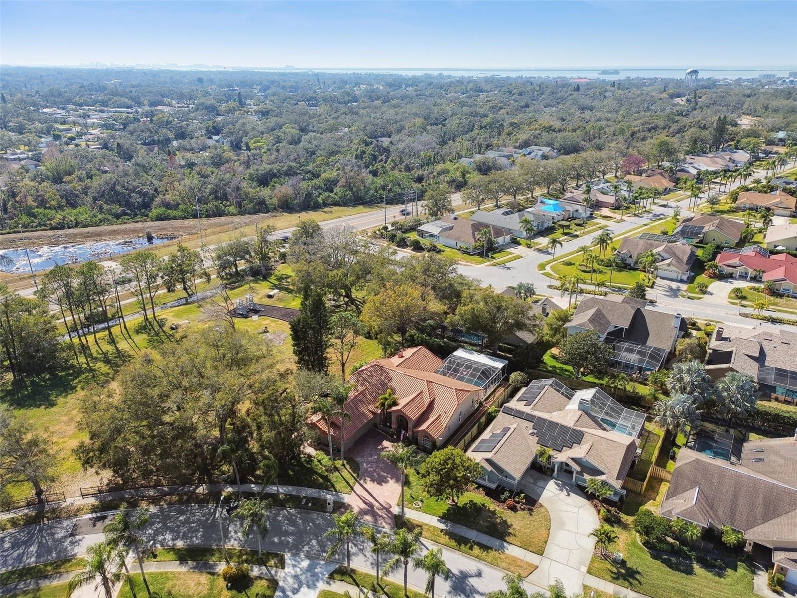 2668 JARVIS CIR, PALM HARBOR, FL, 34683