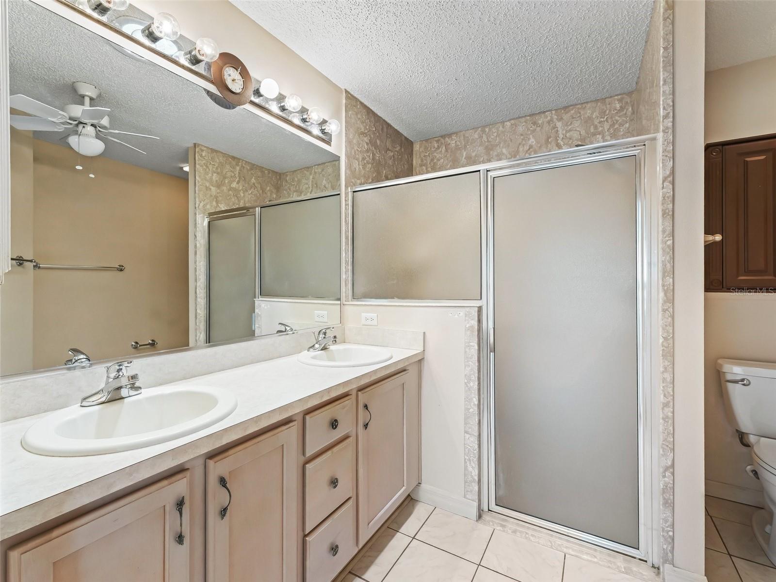 17163 SE 76TH BOXBURY CT, THE VILLAGES, FL, 32162