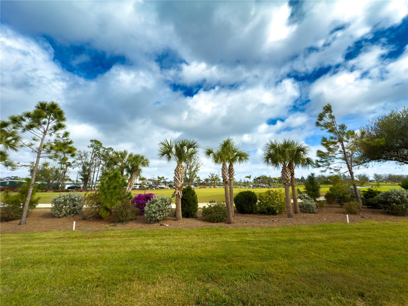 11250 SW ESSEX DR, LAKE SUZY, FL, 34269